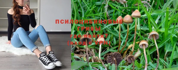 прущая мука Мегион