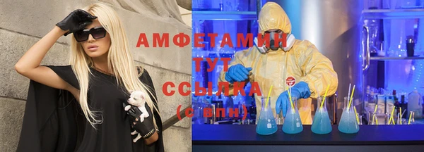 стаф Тольятти
