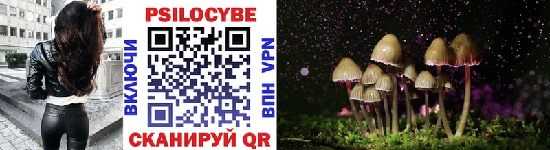 Галлюциногенные грибы Psilocybine cubensis  сколько стоит  Иноземцево 